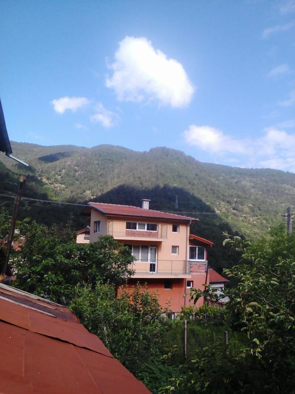 Vila Batschkowo Exterior foto