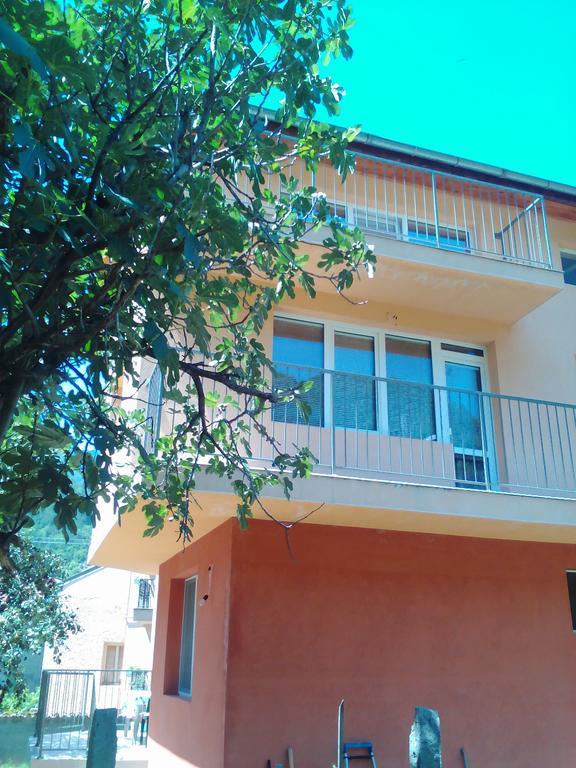 Vila Batschkowo Exterior foto