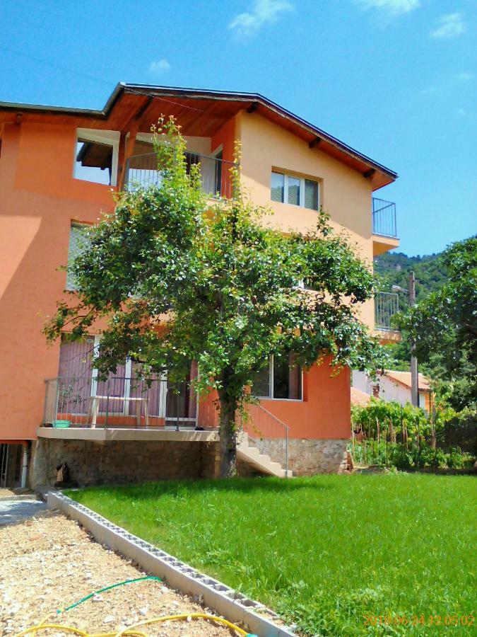 Vila Batschkowo Exterior foto
