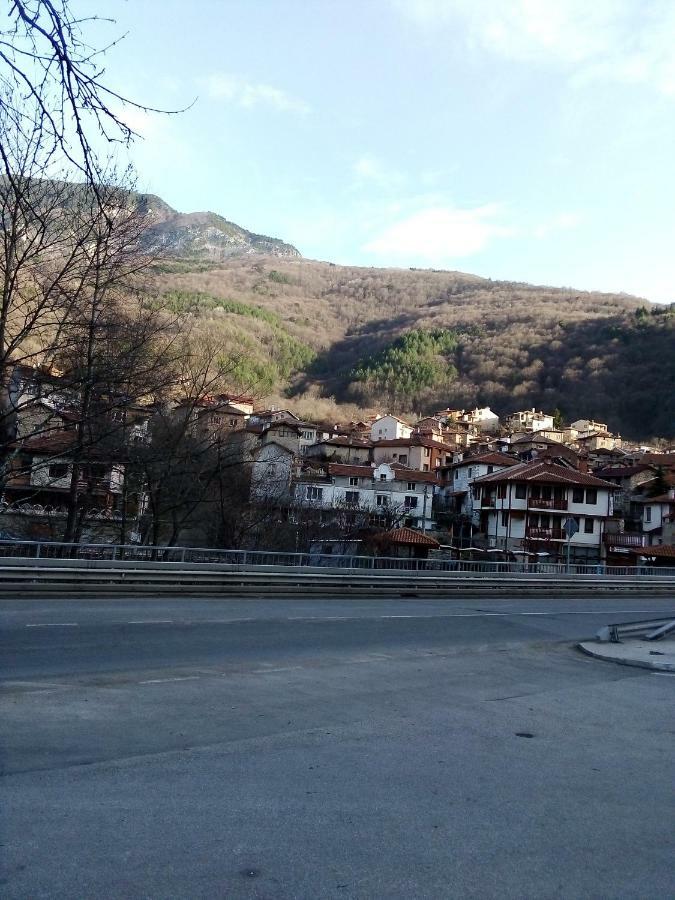 Vila Batschkowo Exterior foto
